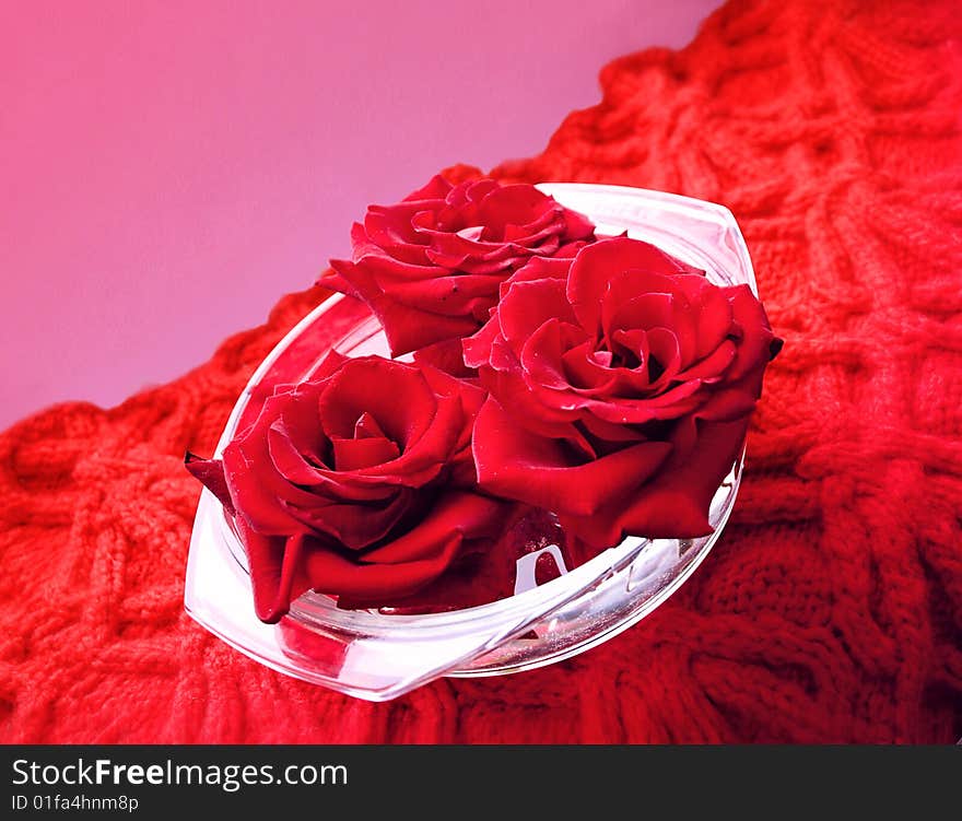 Scarlet roses in and glass flat vase on the woolen knitted serviette, sverzhkhu there is an enough empty background. Scarlet roses in and glass flat vase on the woolen knitted serviette, sverzhkhu there is an enough empty background