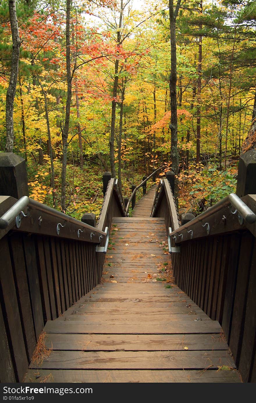 Stairs leading into autumn forest