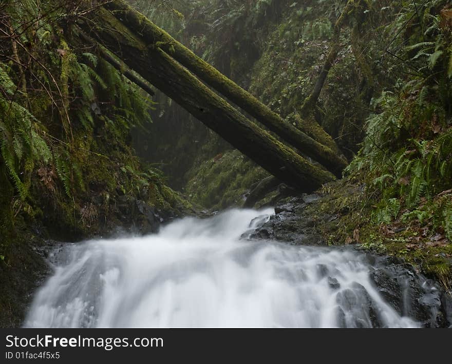 Waterfall In The Pacific Northwest