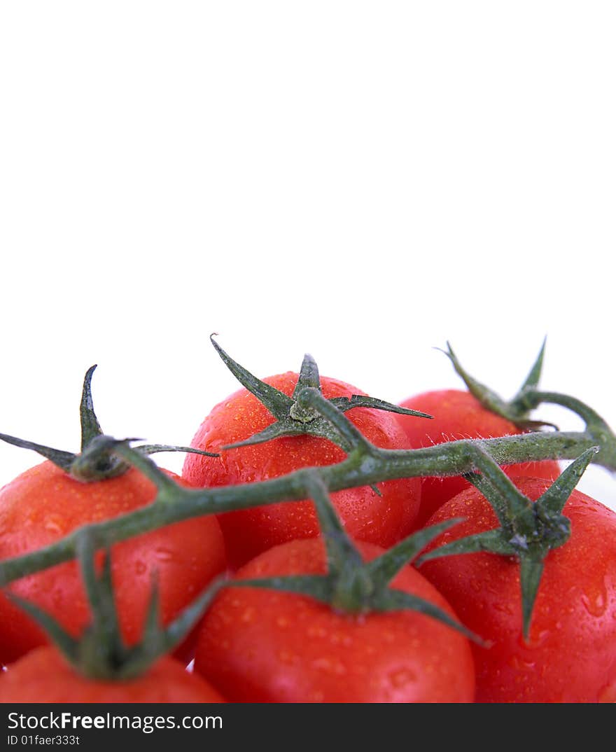 A bunch of tomatoes isolated over white background. Lot of copyspace. A bunch of tomatoes isolated over white background. Lot of copyspace.