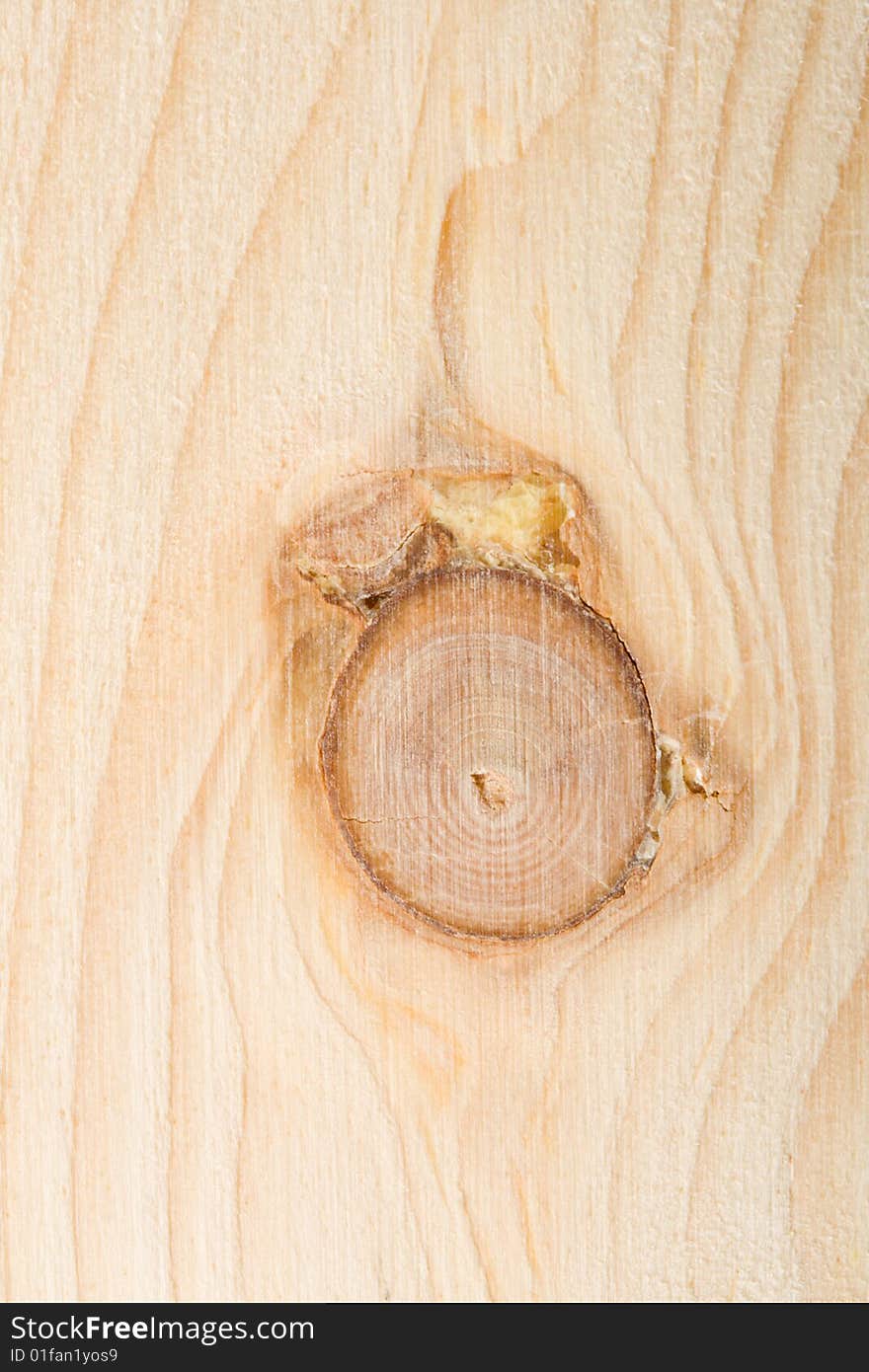 Close-up pine board with twig