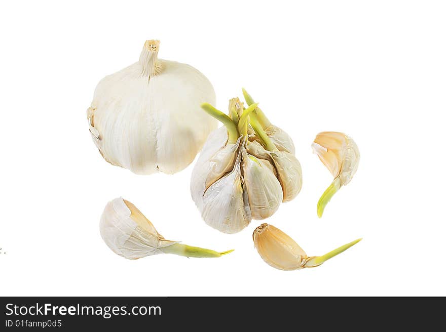 Fresh garlic in the market