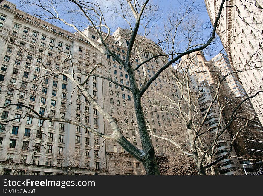 Picture of office buildings in Manhattan. Picture of office buildings in Manhattan