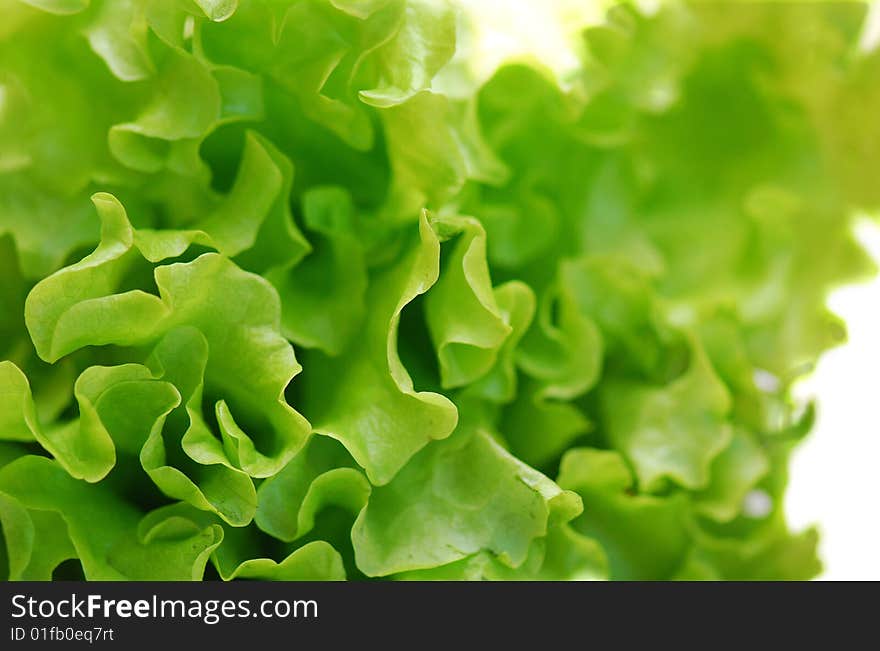 Fresh salad isolated on white background