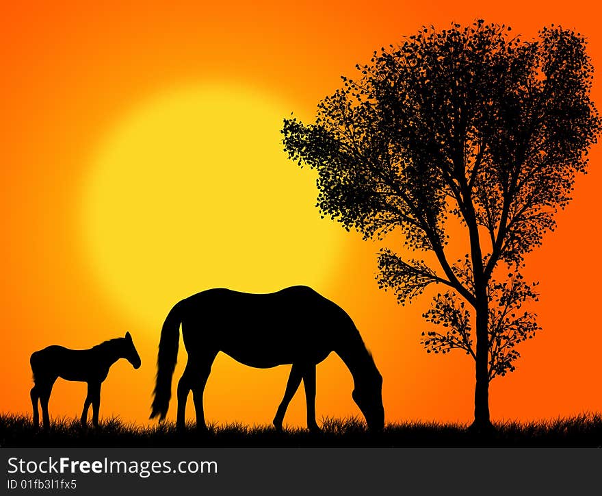 Horse and colt pasturing against a colorful sunset. Horse and colt pasturing against a colorful sunset