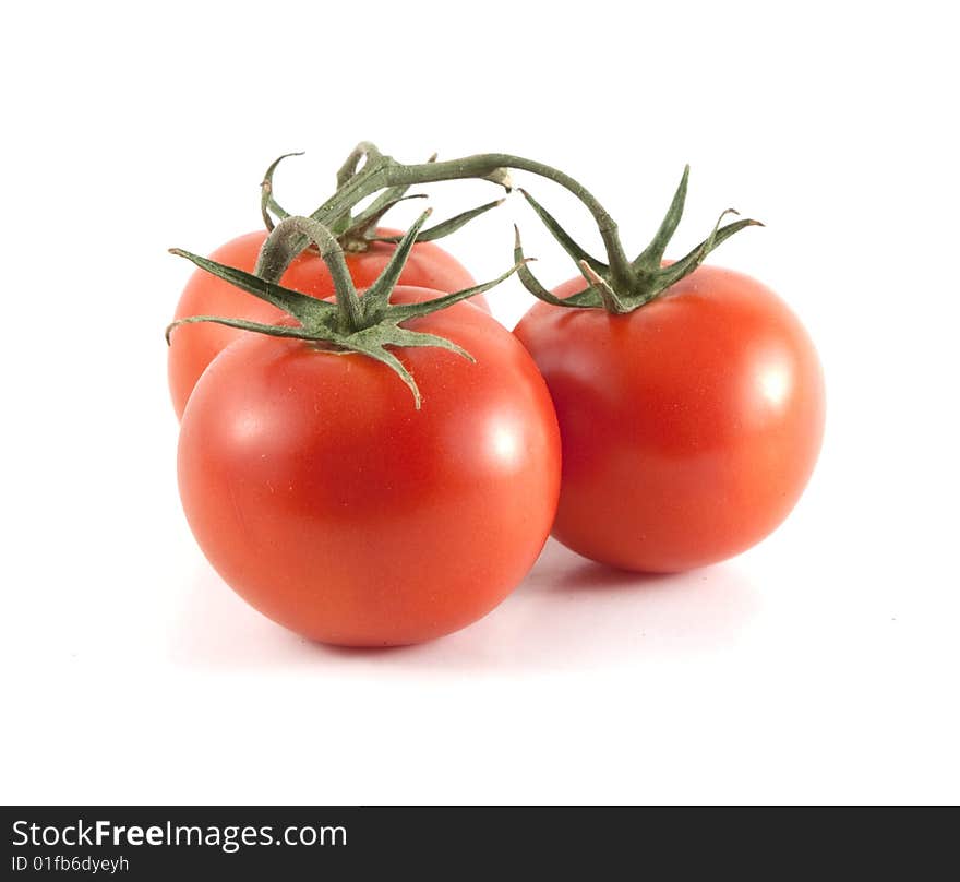 Red Tomatoes Connected By The Vine