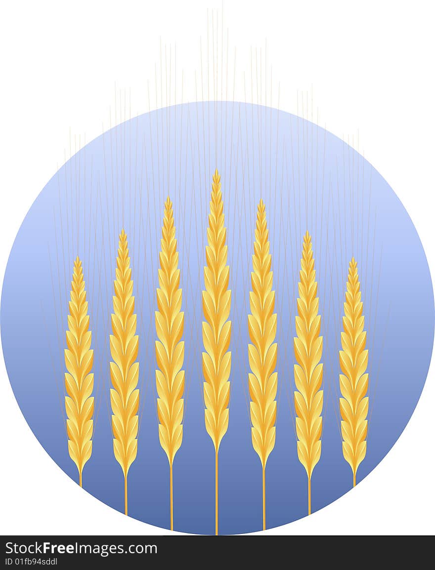 Wheat icon, on round, isolated on white, eps8 format