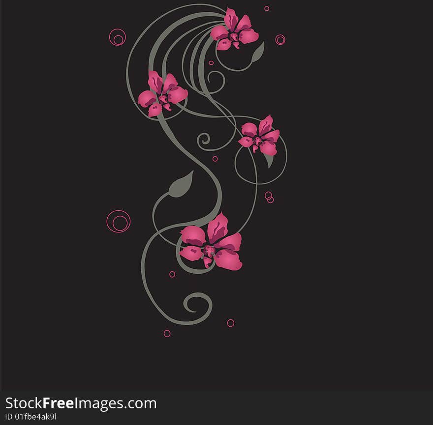 Illustration of a floral background