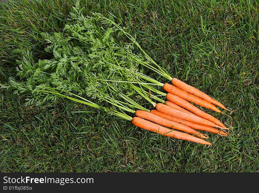 Carrots in the grass