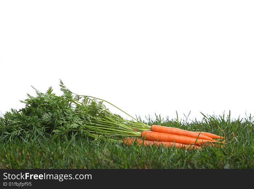 Carrots in the grass