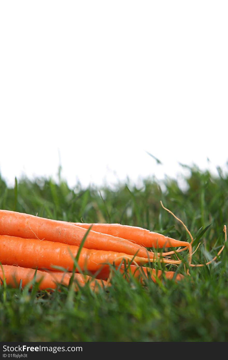 Carrots in the grass