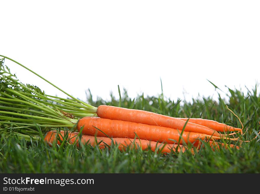 Carrots in the grass