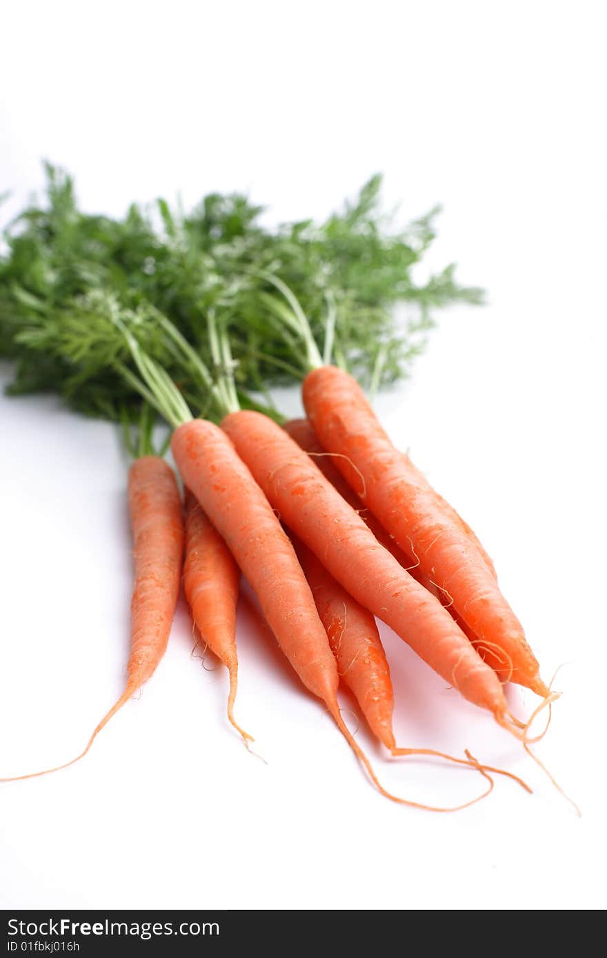 Organic Carrots