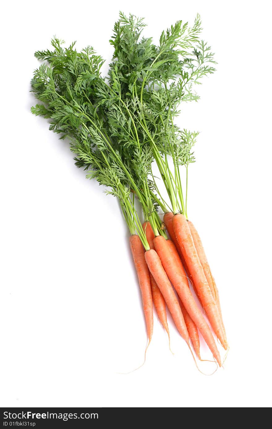 Organic Carrots