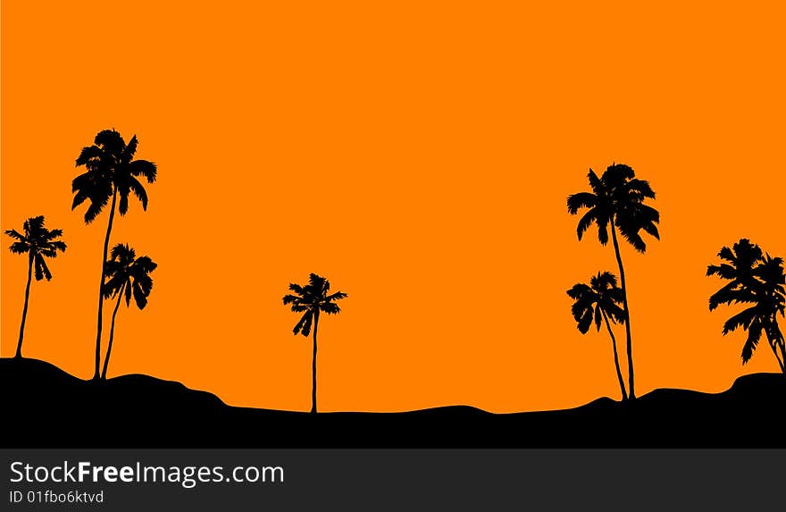 Palm horizon on orange background. Palm horizon on orange background