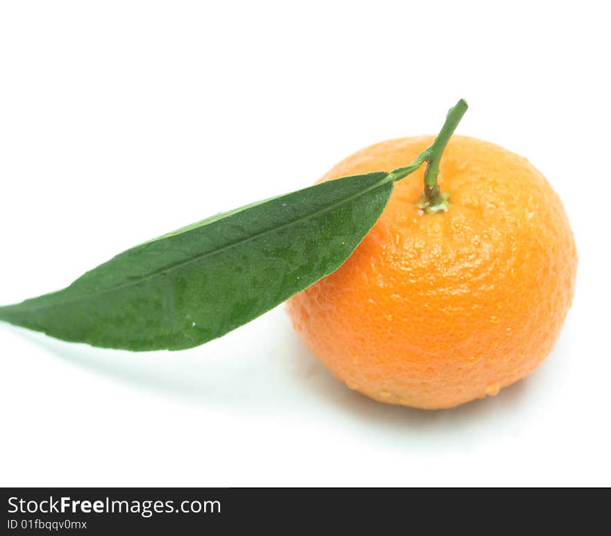 Tangerine With One Leaf