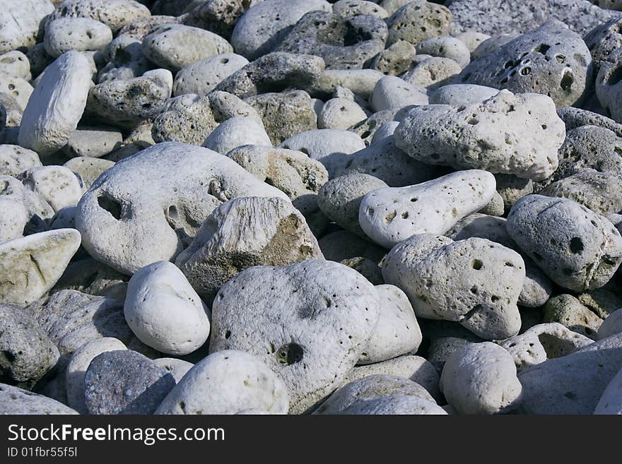 Background with gray coral stones - zoom view. Background with gray coral stones - zoom view.