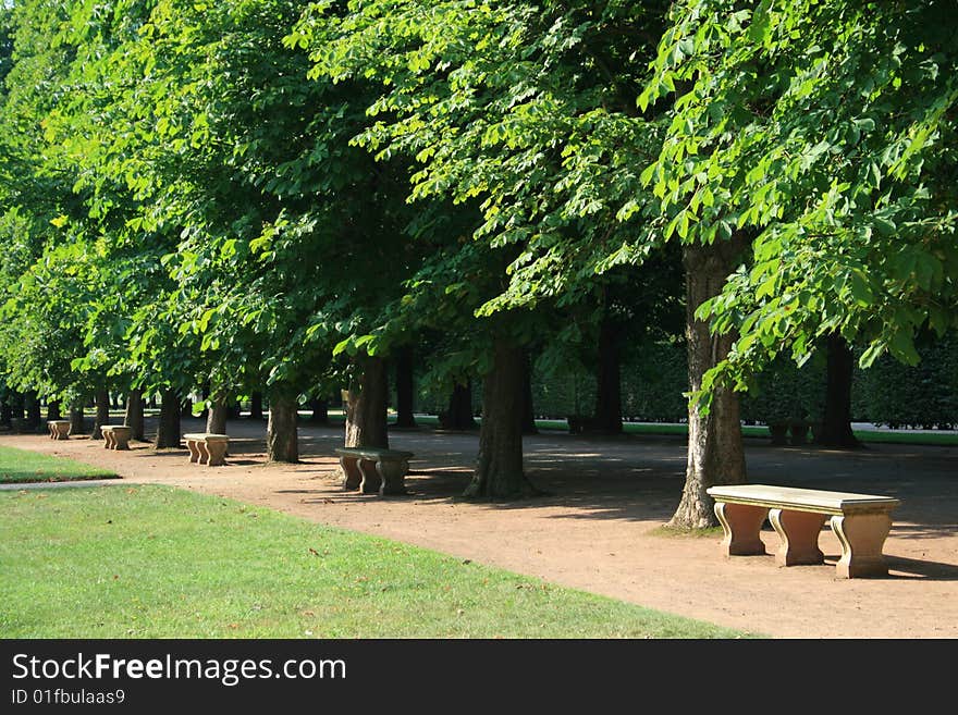 A row of benches, made from concrete and shaded by trees beside each bench, lined up a walking path in a public park. A row of benches, made from concrete and shaded by trees beside each bench, lined up a walking path in a public park.