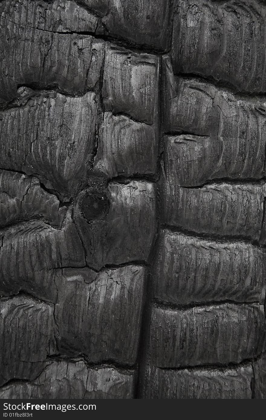 Burned Wood Texture