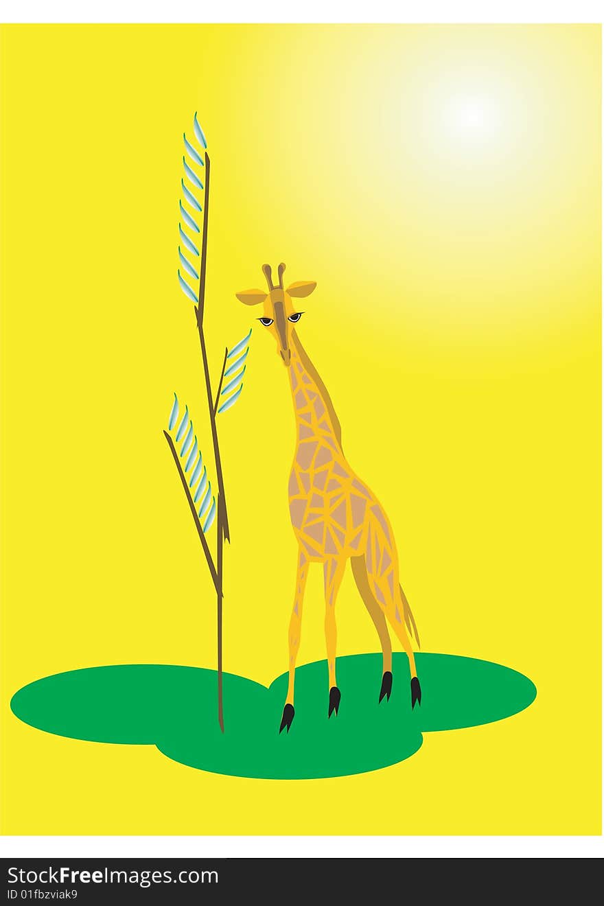 Solitary giraffe at hot day beside tree