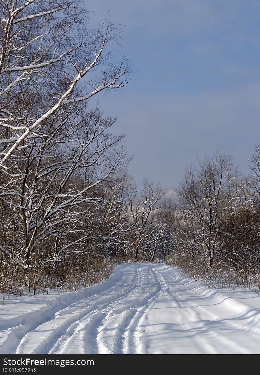 Morning after a snowfall