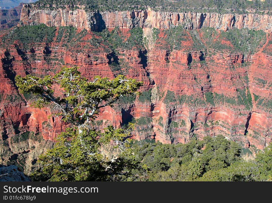 Grand Canyon National Park, USA