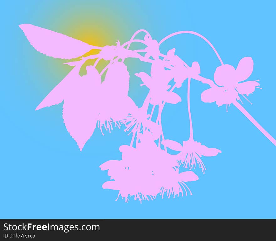 Pink cherry flowers silhouette