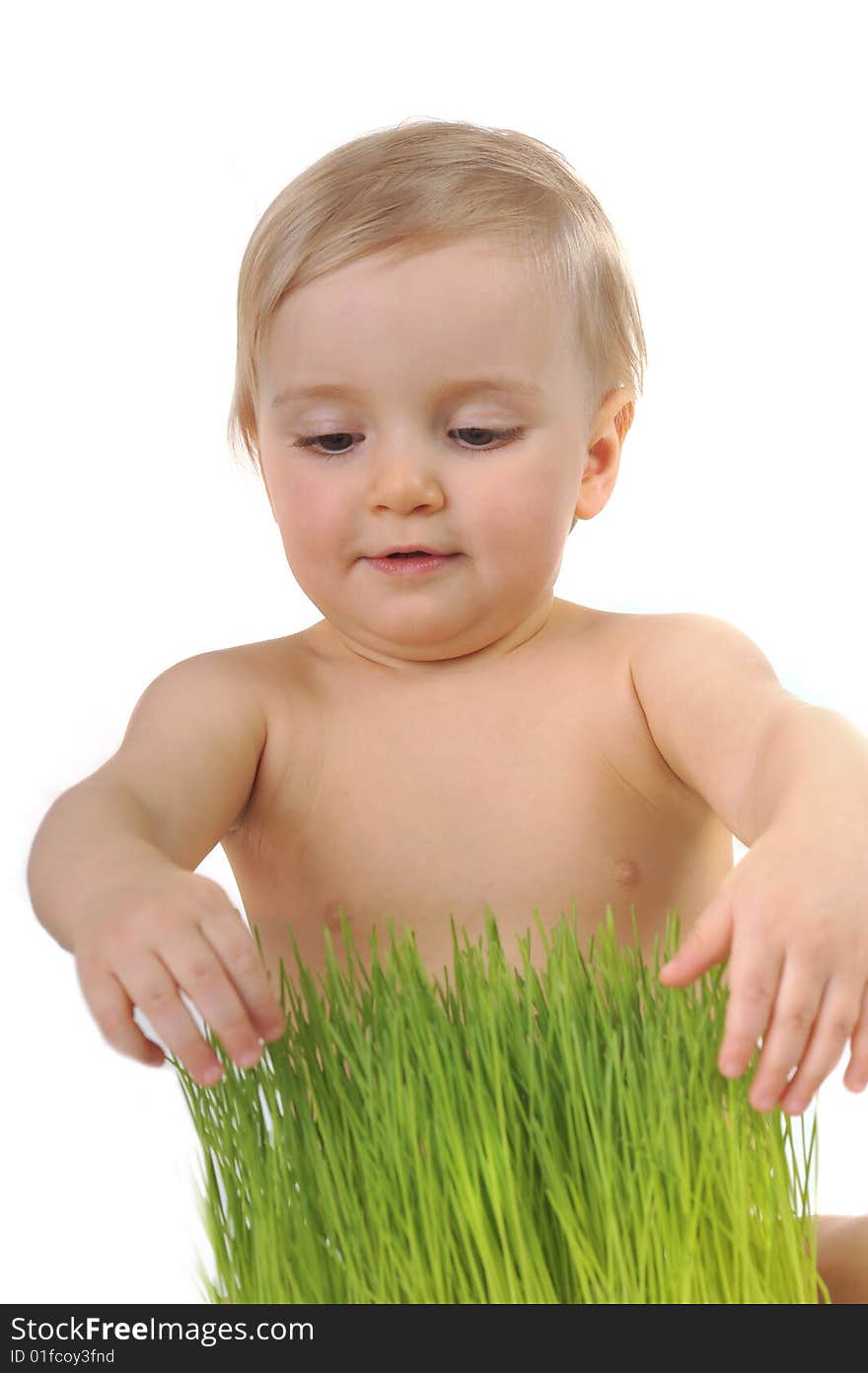 Little girl plays with green grass. Little girl plays with green grass