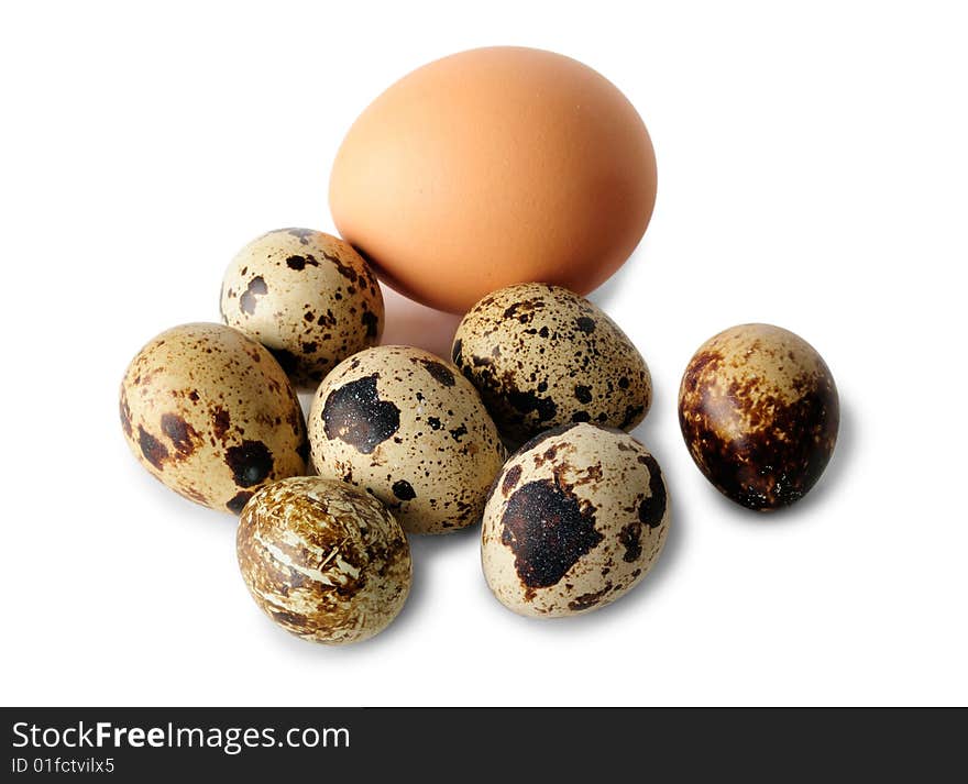 Chicken egg and quail eggs isolated on white