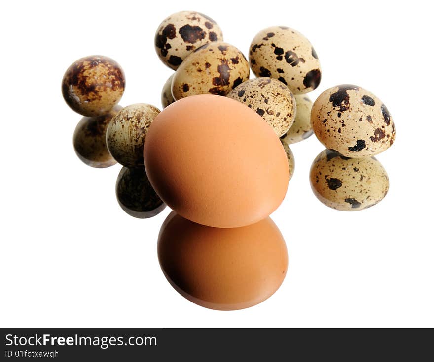 Chicken egg and quail eggs isolated on white