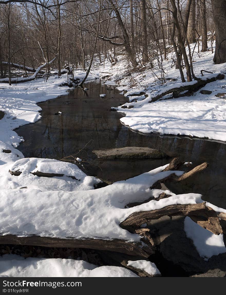 Waterfall in the north woods of Central Park