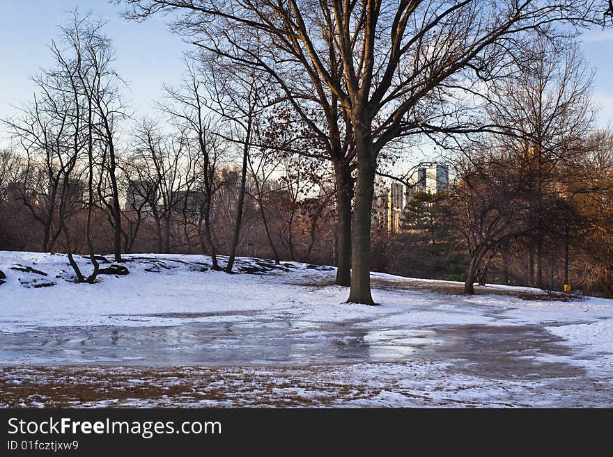 Frozen Ice On The Lawn