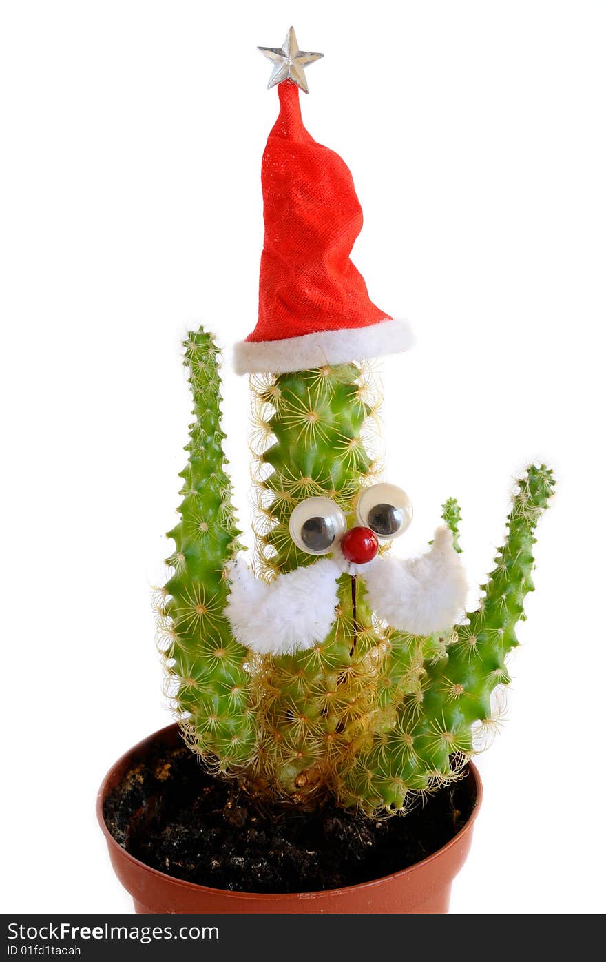 Decorated cactus in a flower pot