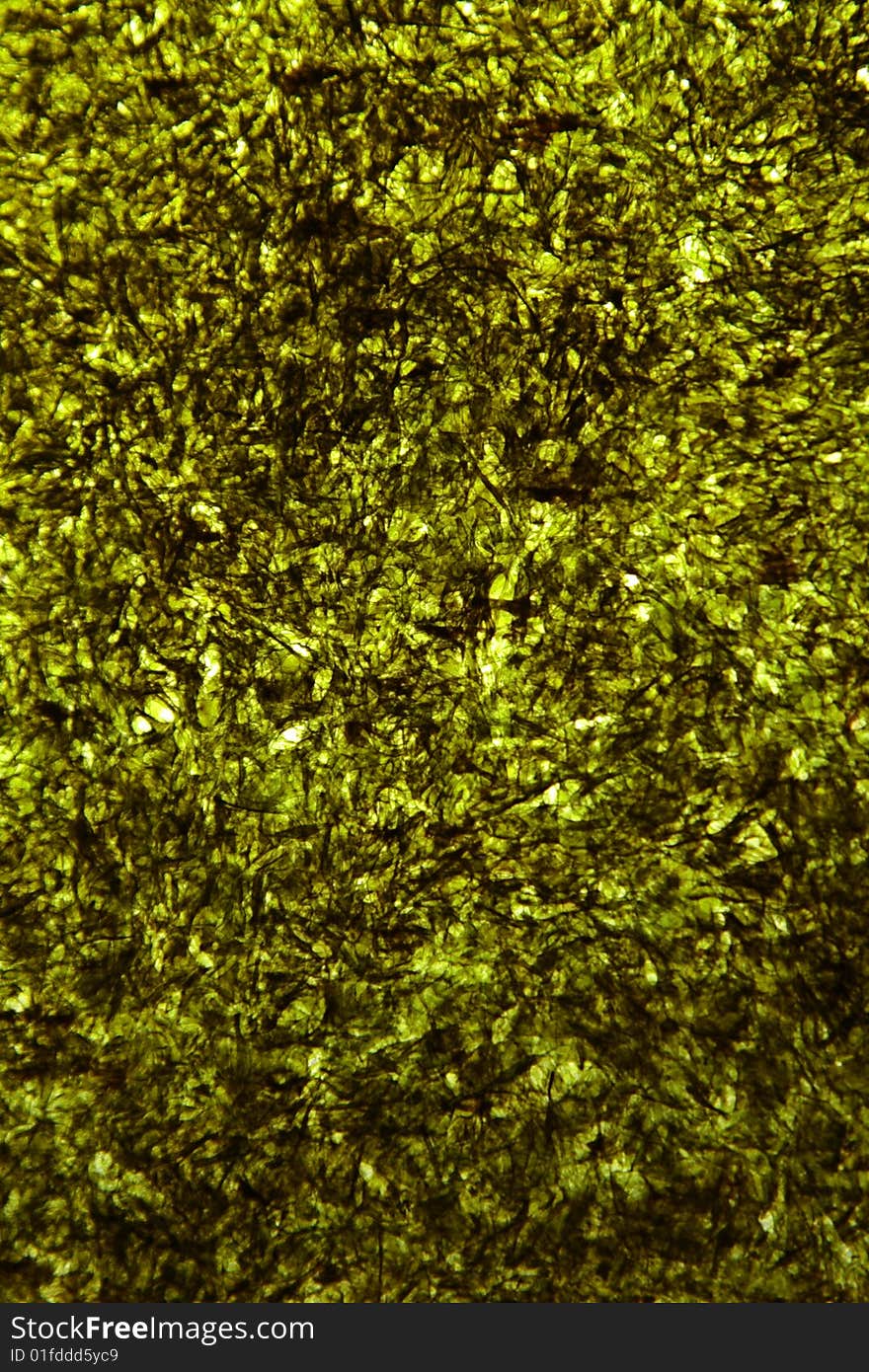 Abstract Green Texture