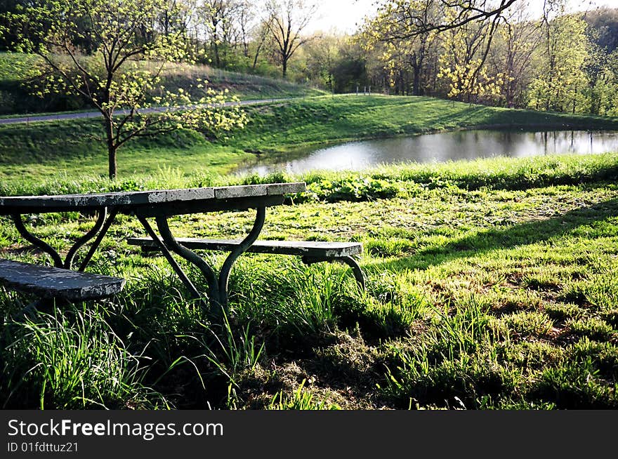 Picnic table next to a pond in Southern Illinois.