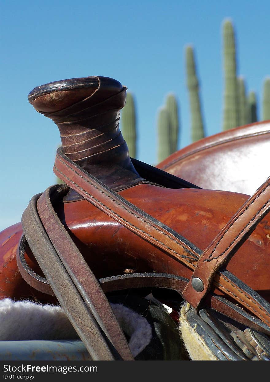 Wrapped saddle horn with cactus in the background.