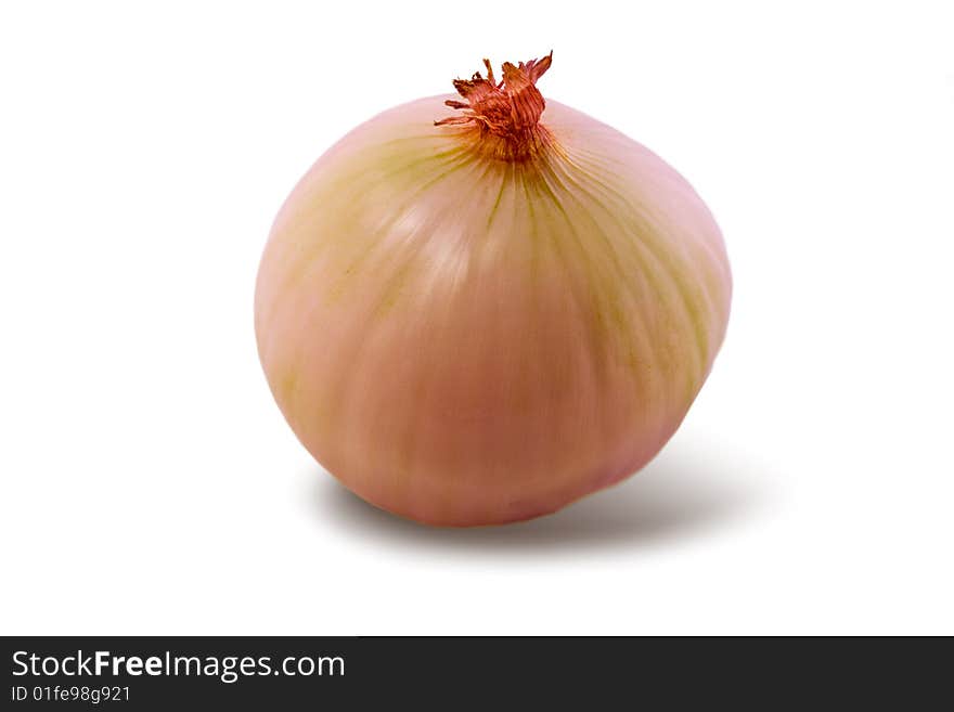 Onion