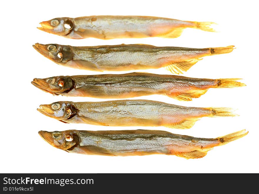 Capelin