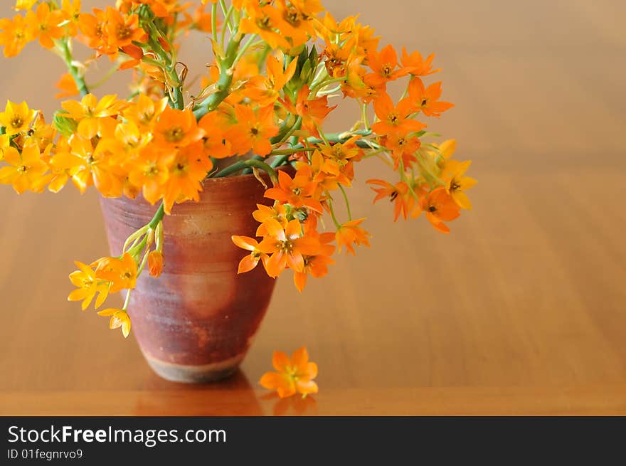 Flowers in a brown vase