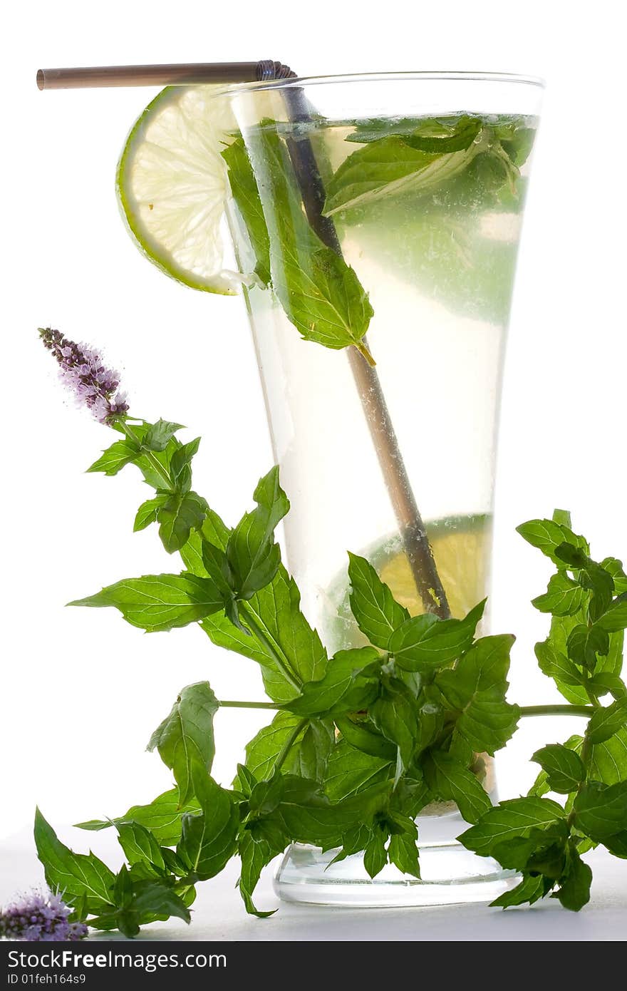 Mojito cocktail