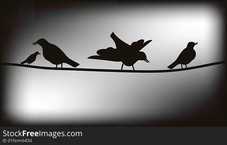 Birds on wires