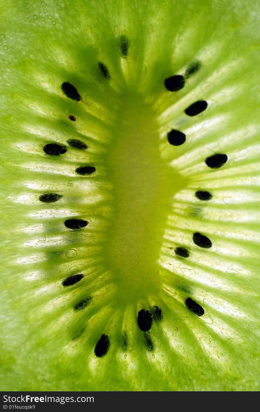 Kiwi