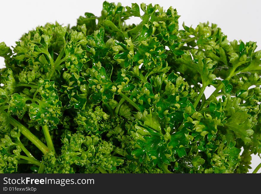 Close up view of curly parsley