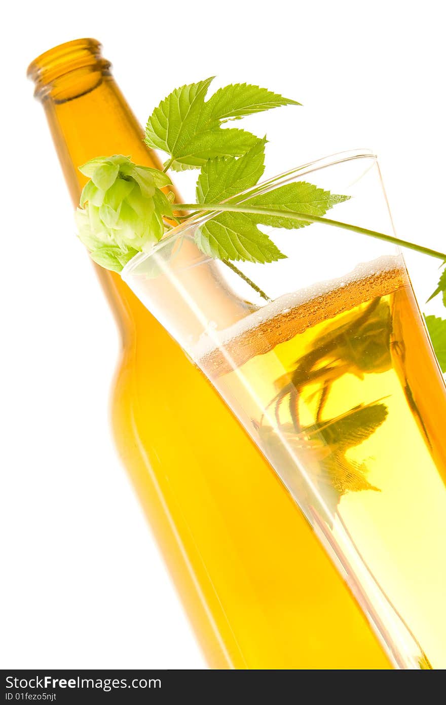 Glass beer and hop on white background