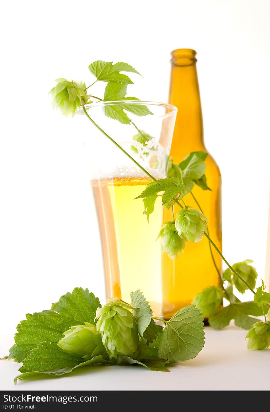 Glass beer and hop on white background