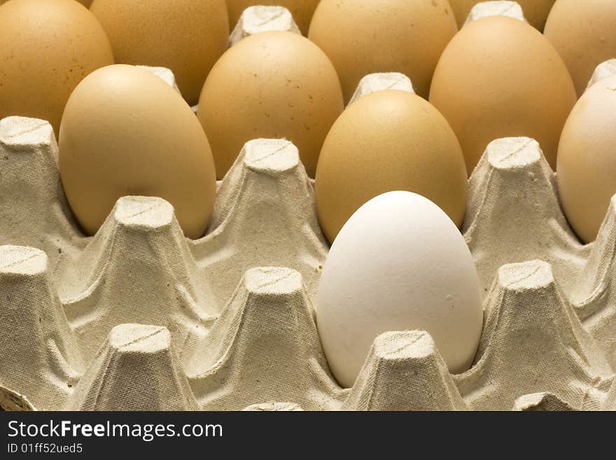 Fresh organic eggs in a carton.