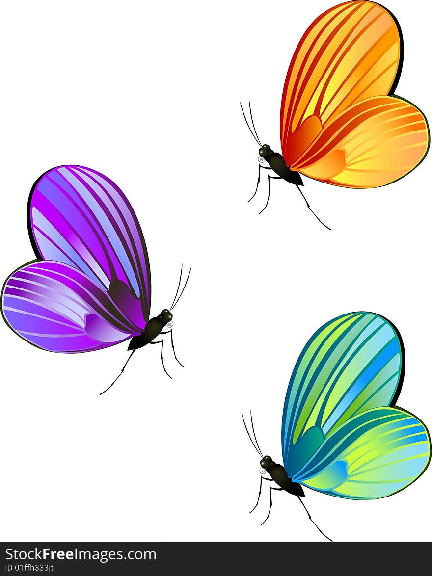 A group of vividly colored butterflies