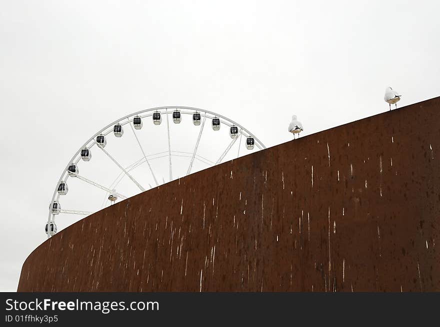 Great wheel and the pigeon, modern building and roller coaster. Great wheel and the pigeon, modern building and roller coaster