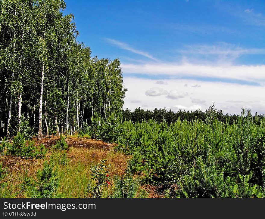 Clouds give snyku of fullness and feeling of space. Clouds give snyku of fullness and feeling of space