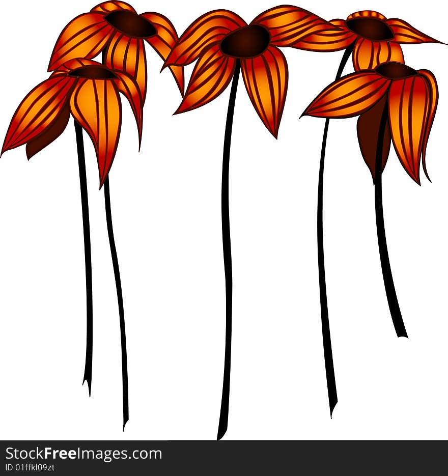 Tall flowers